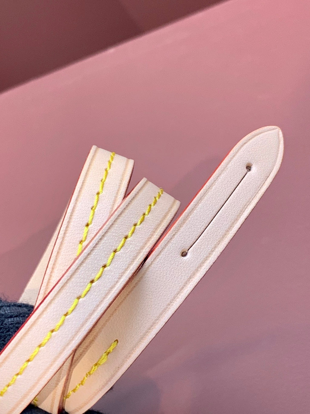 LV Pochette Accessoires Bag