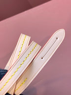 LV Pochette Accessoires Bag