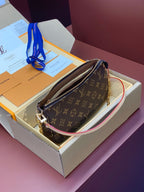 LV Pochette Accessoires Bag
