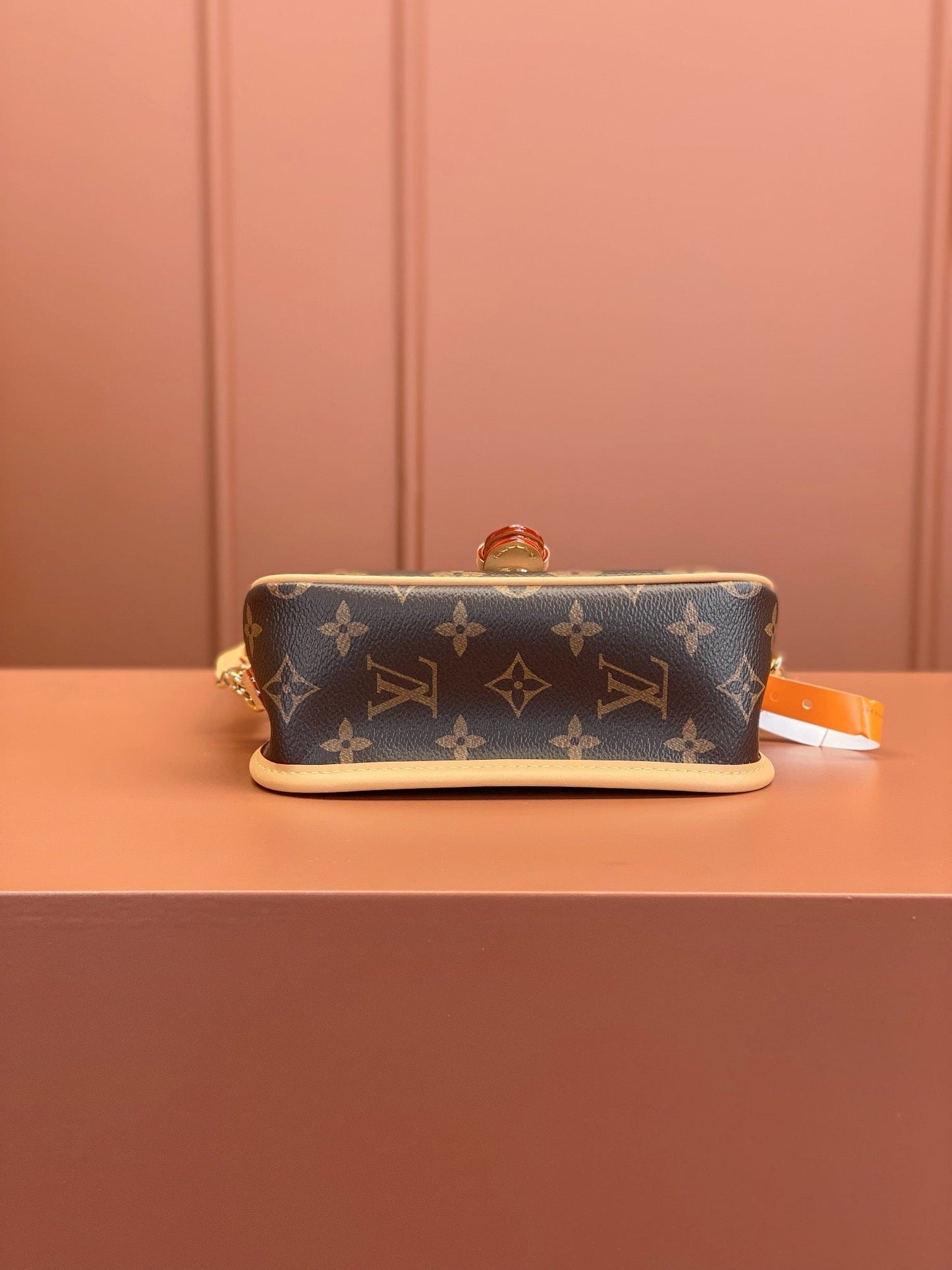 LV Nano Diane Bag