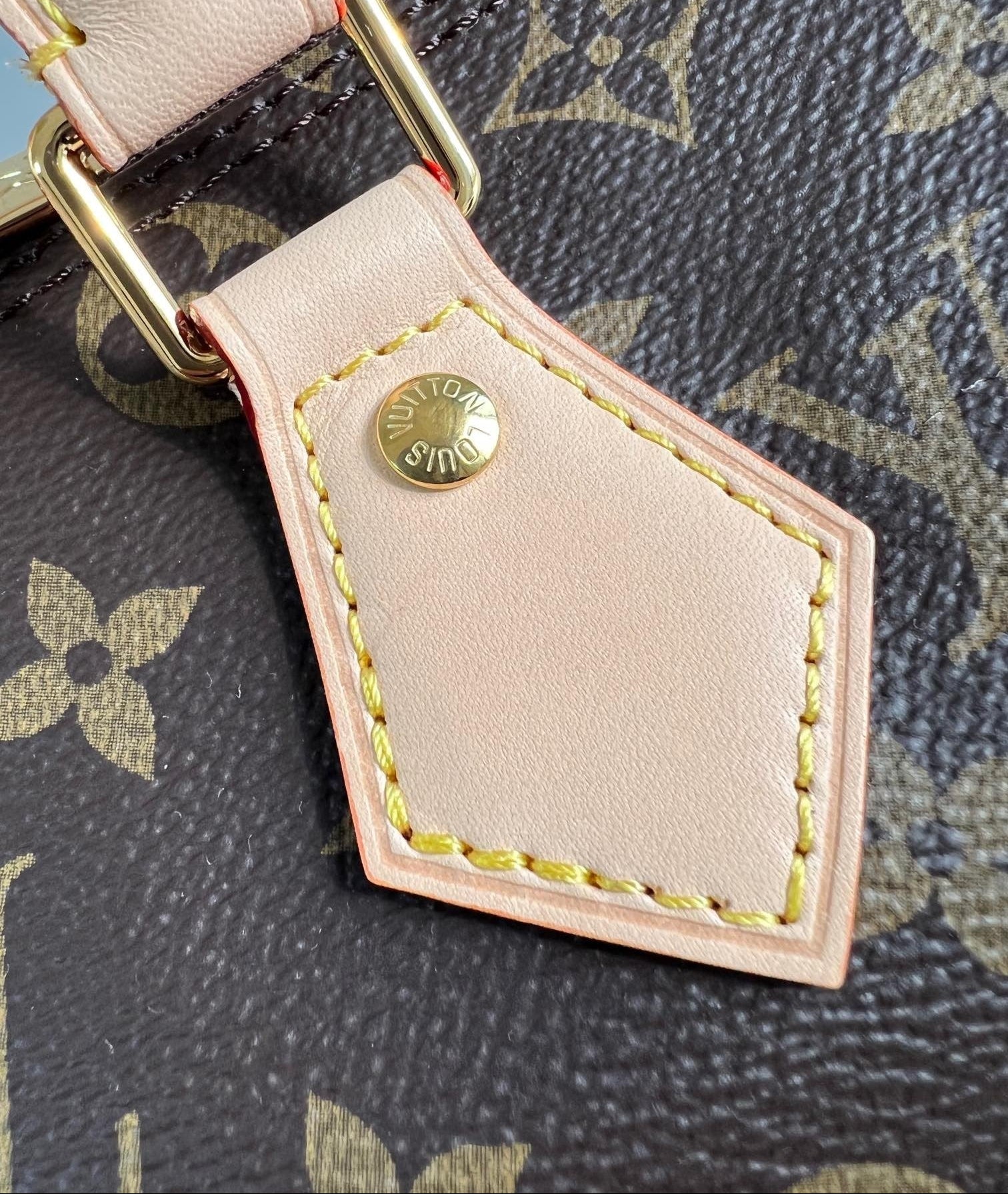 Speedy Bandoulière 25 Bag