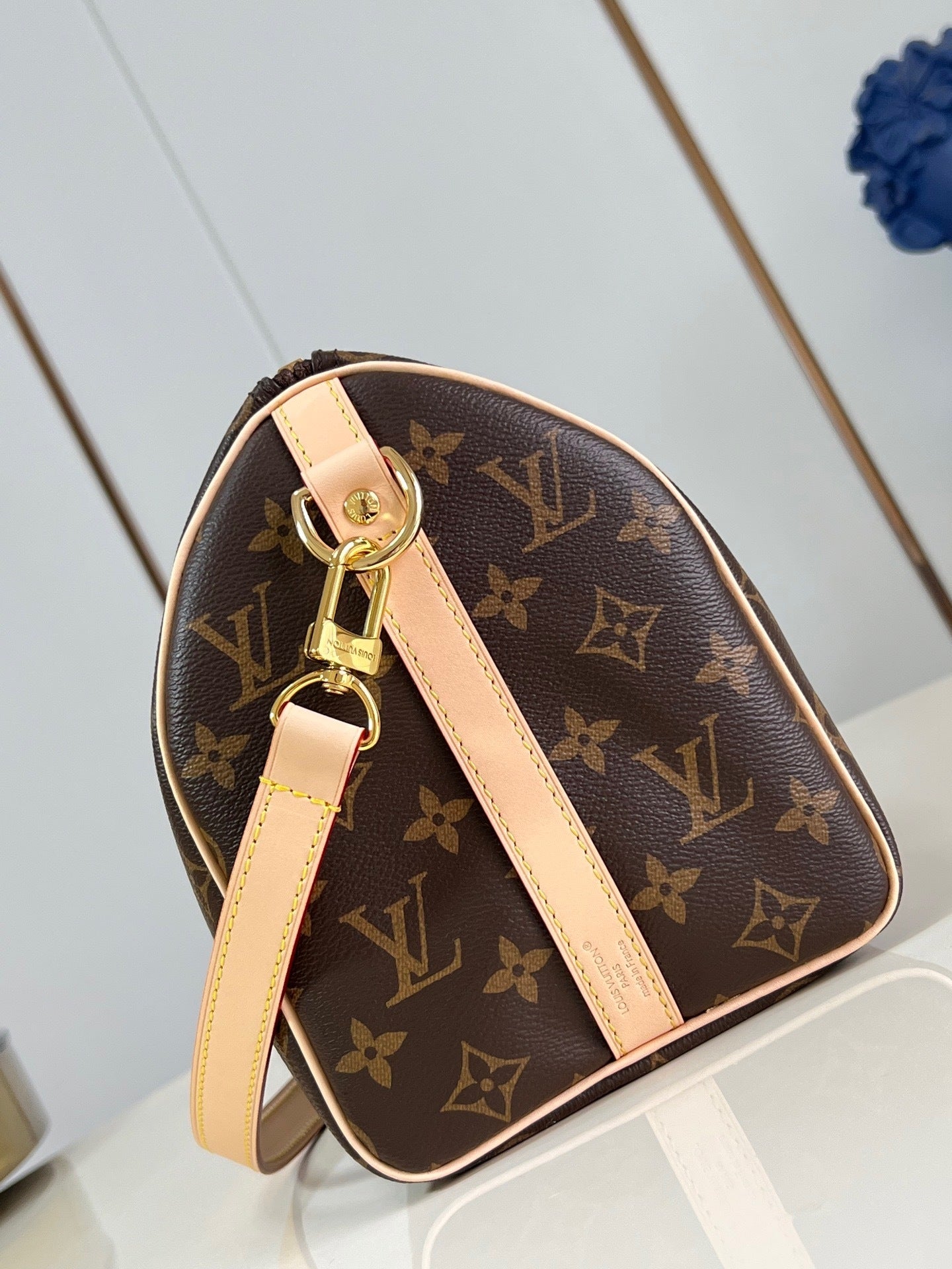 Speedy Bandoulière 25 Bag