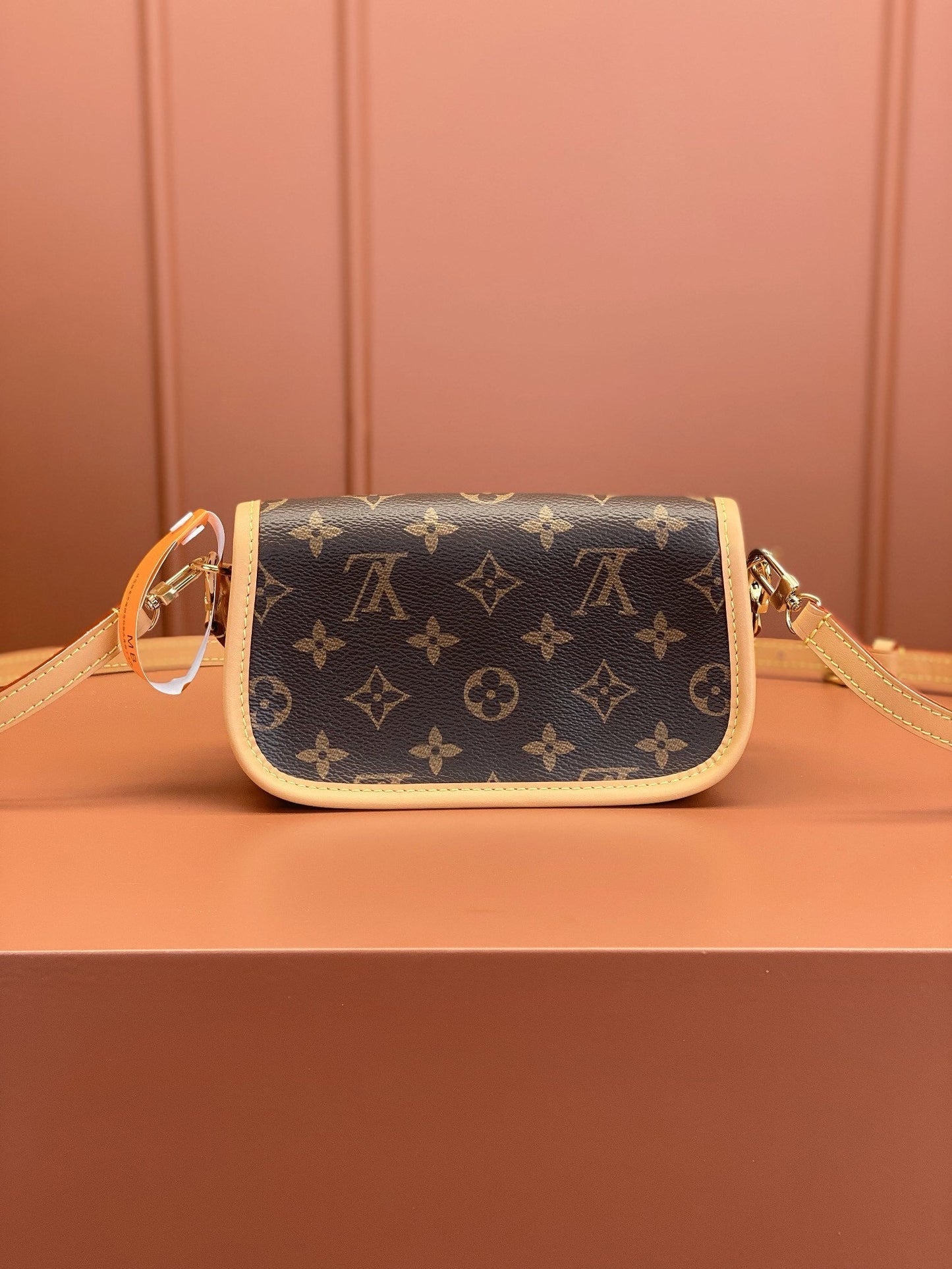 LV Nano Diane Bag