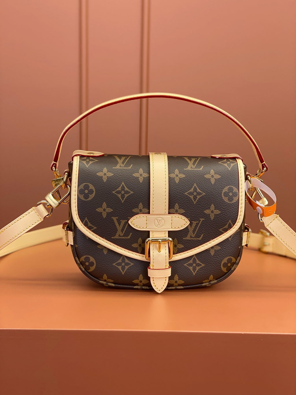 LV Saumur BB Bag