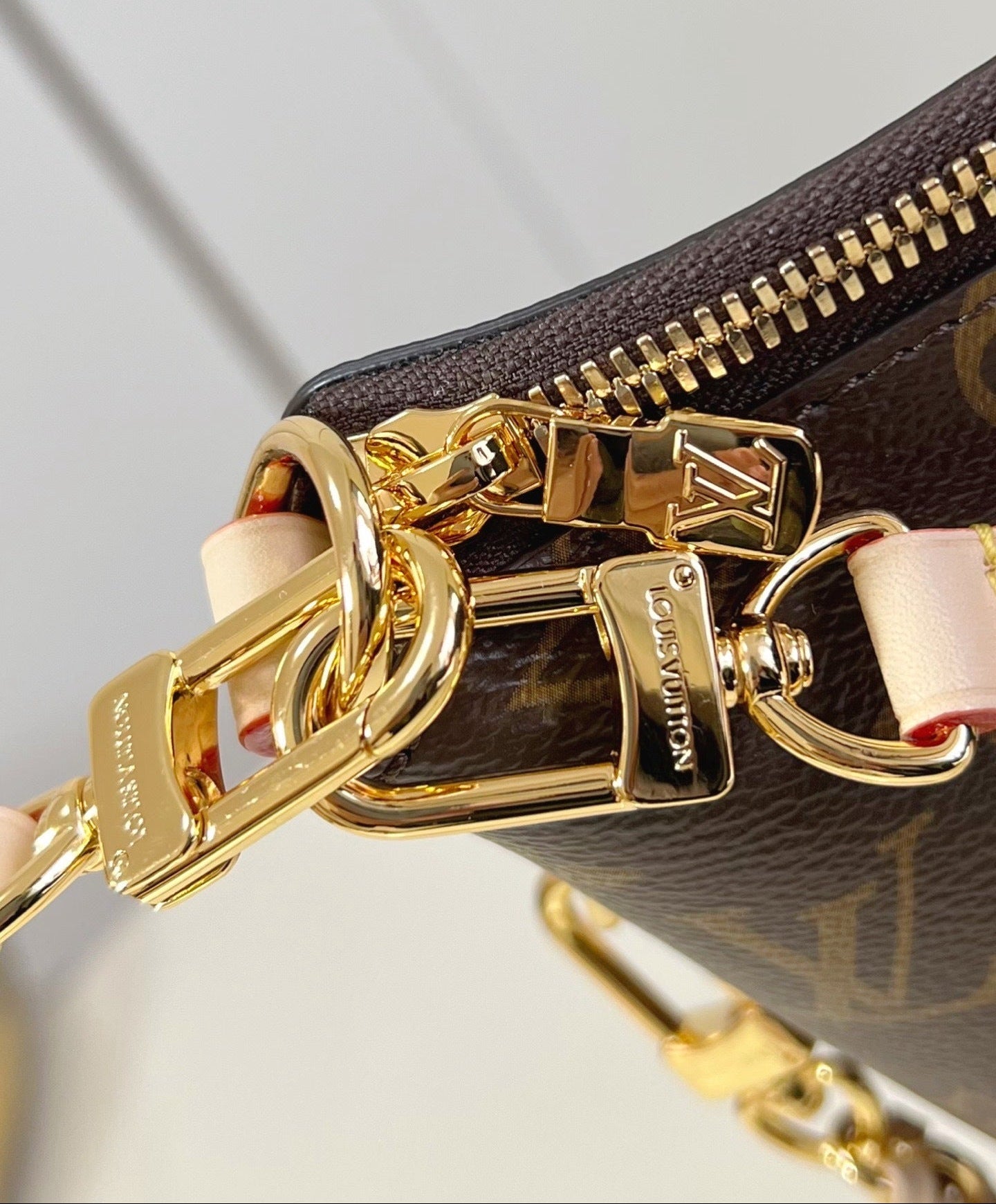 LV Multipass Bag