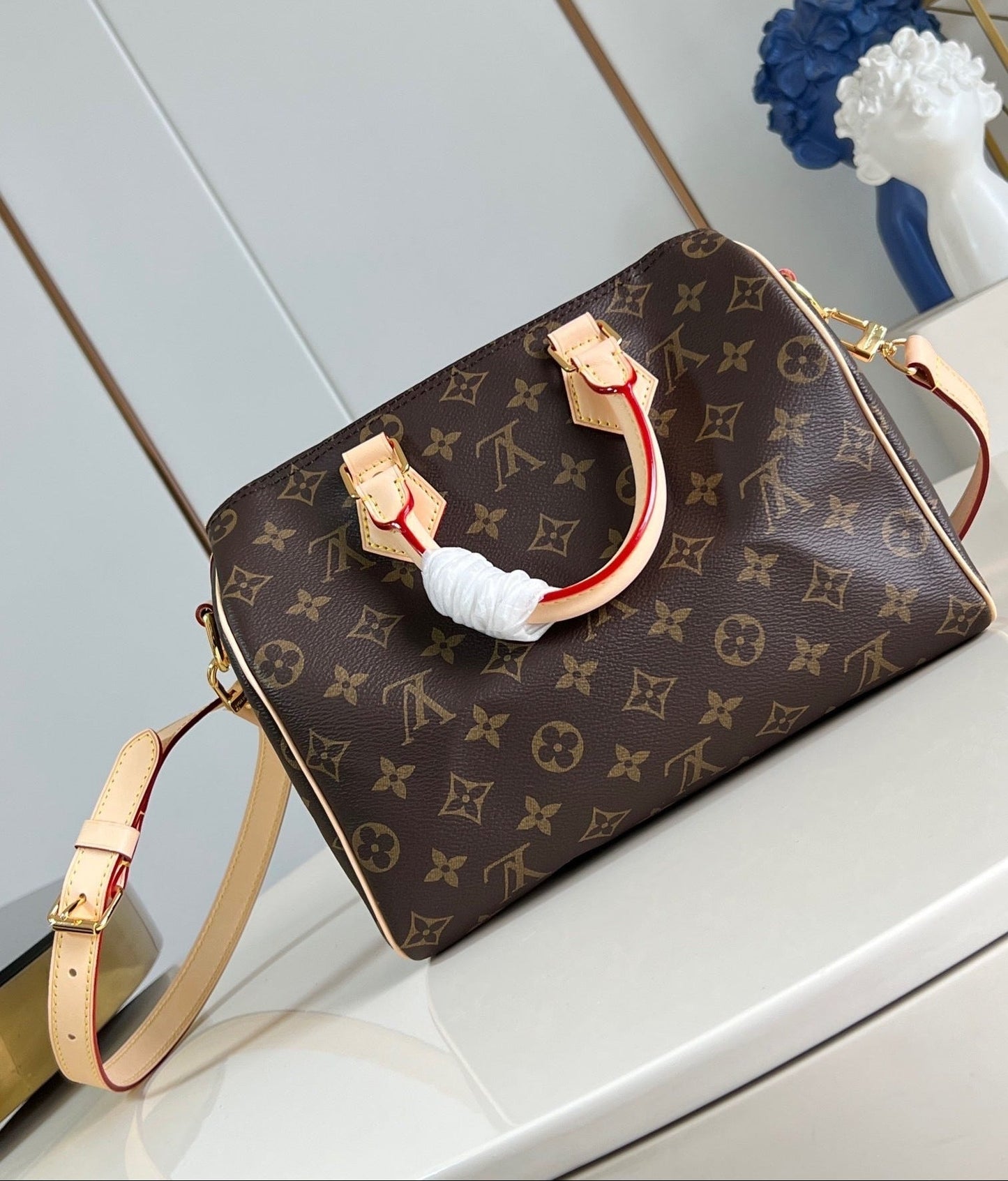 Speedy Bandoulière 25 Bag