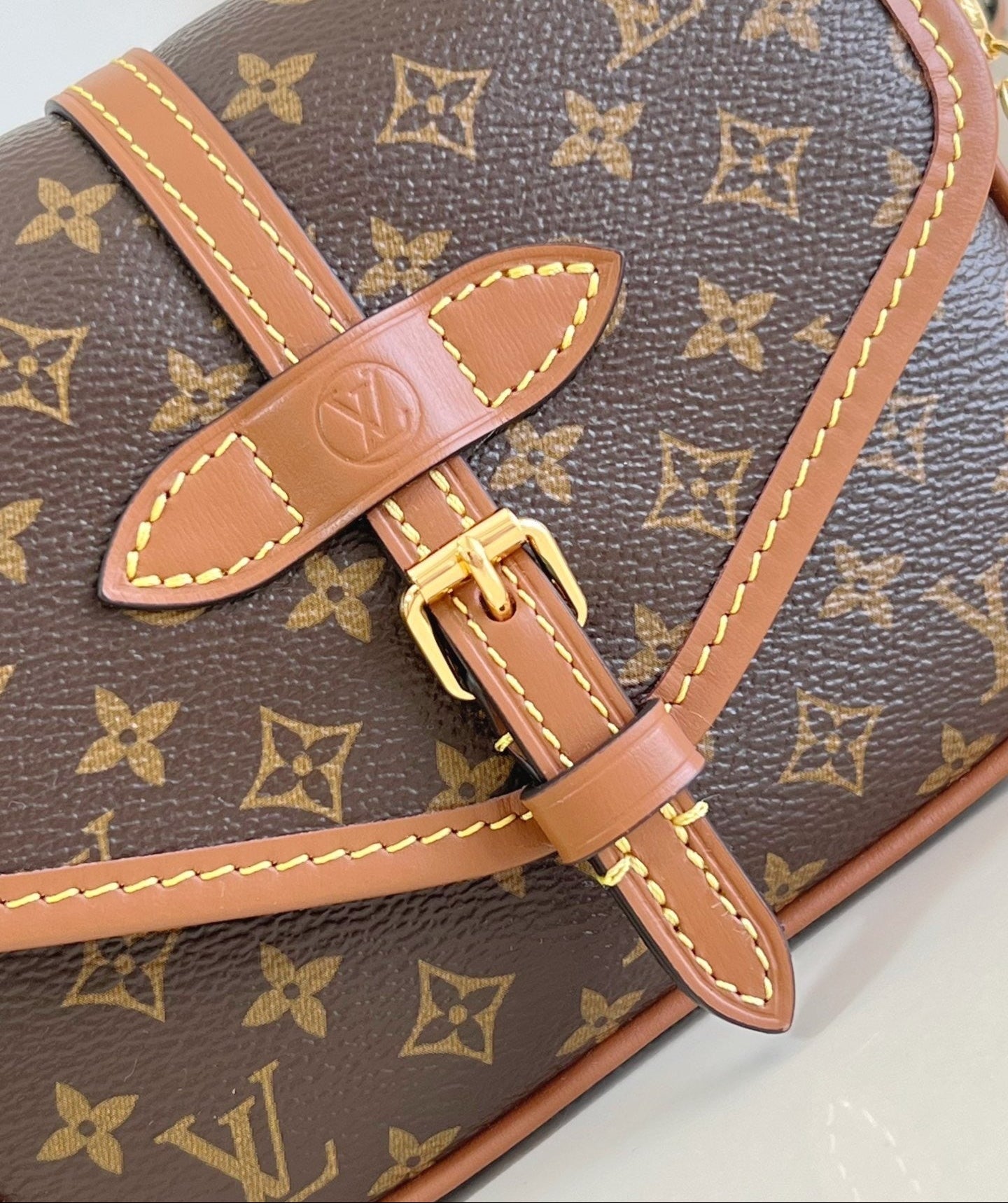 LV Solo Bag