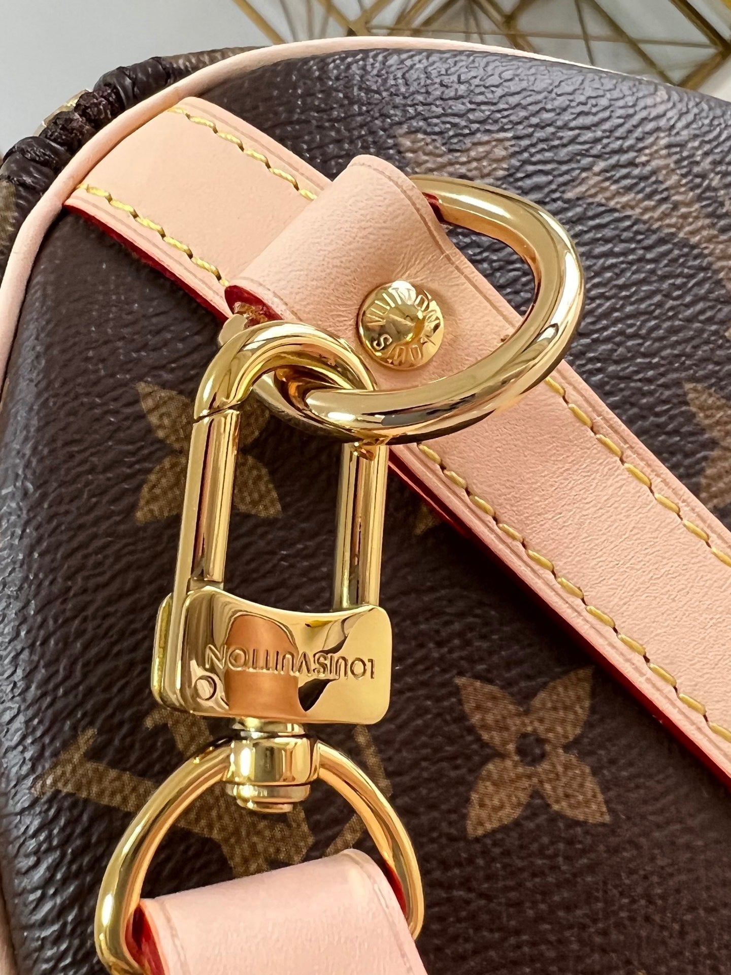 Speedy Bandoulière 25 Bag