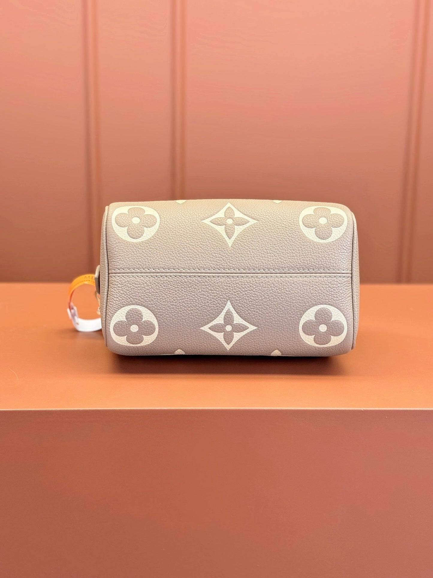 Speedy Bandoulière 20 Bag