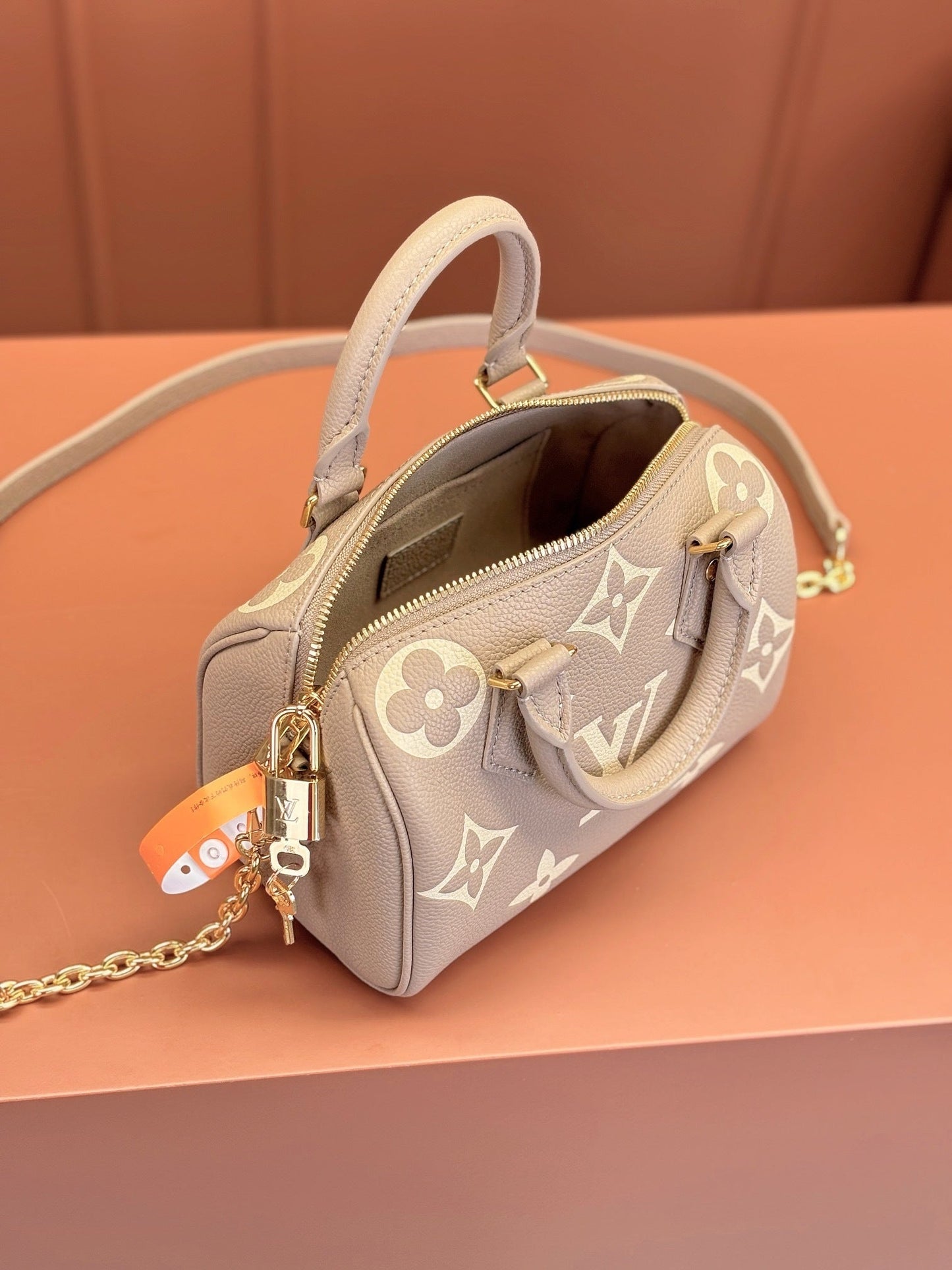 Speedy Bandoulière 20 Bag