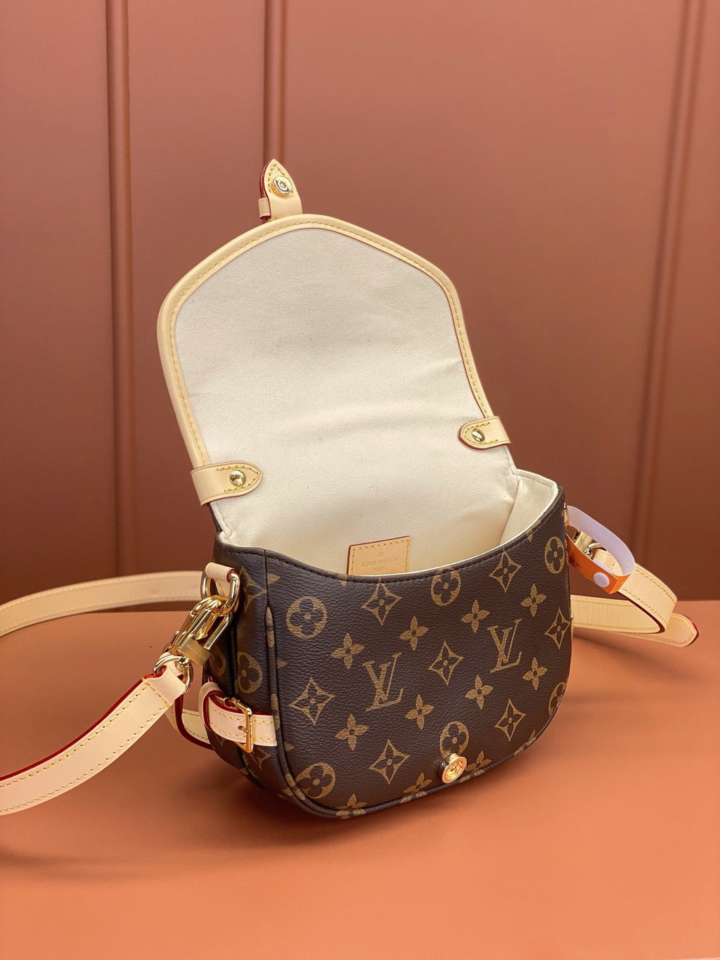 LV Saumur BB Bag