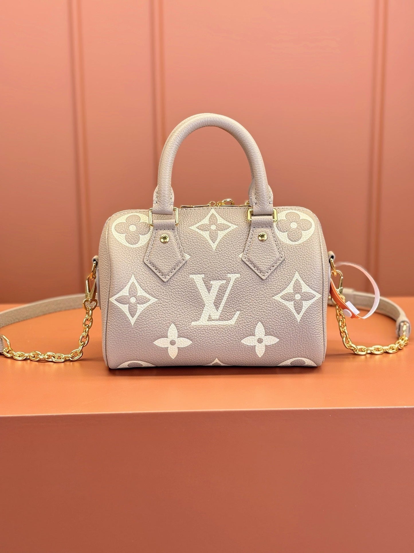 Speedy Bandoulière 20 Bag