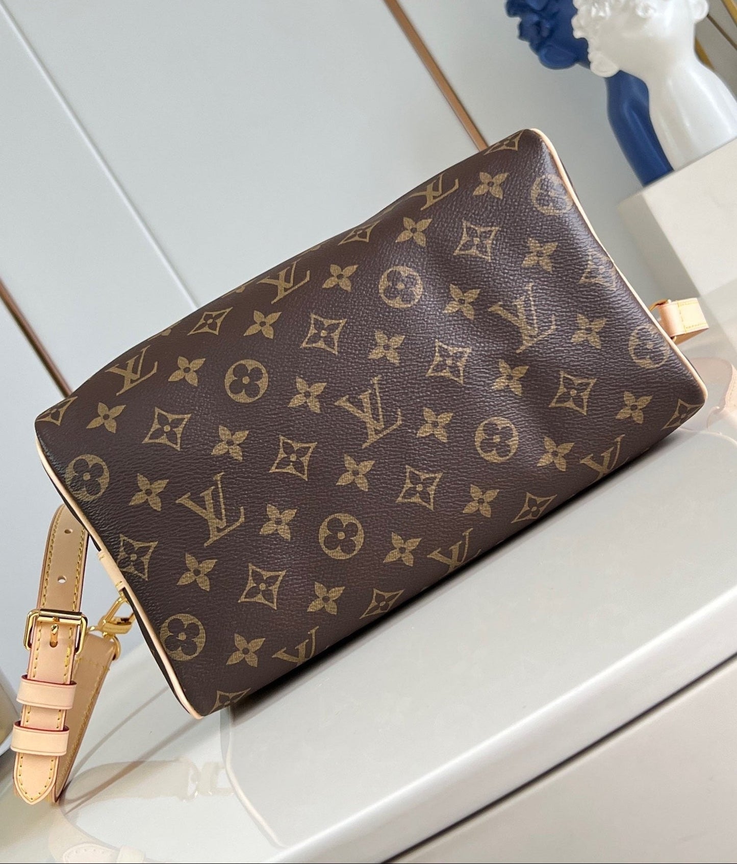 Speedy Bandoulière 25 Bag