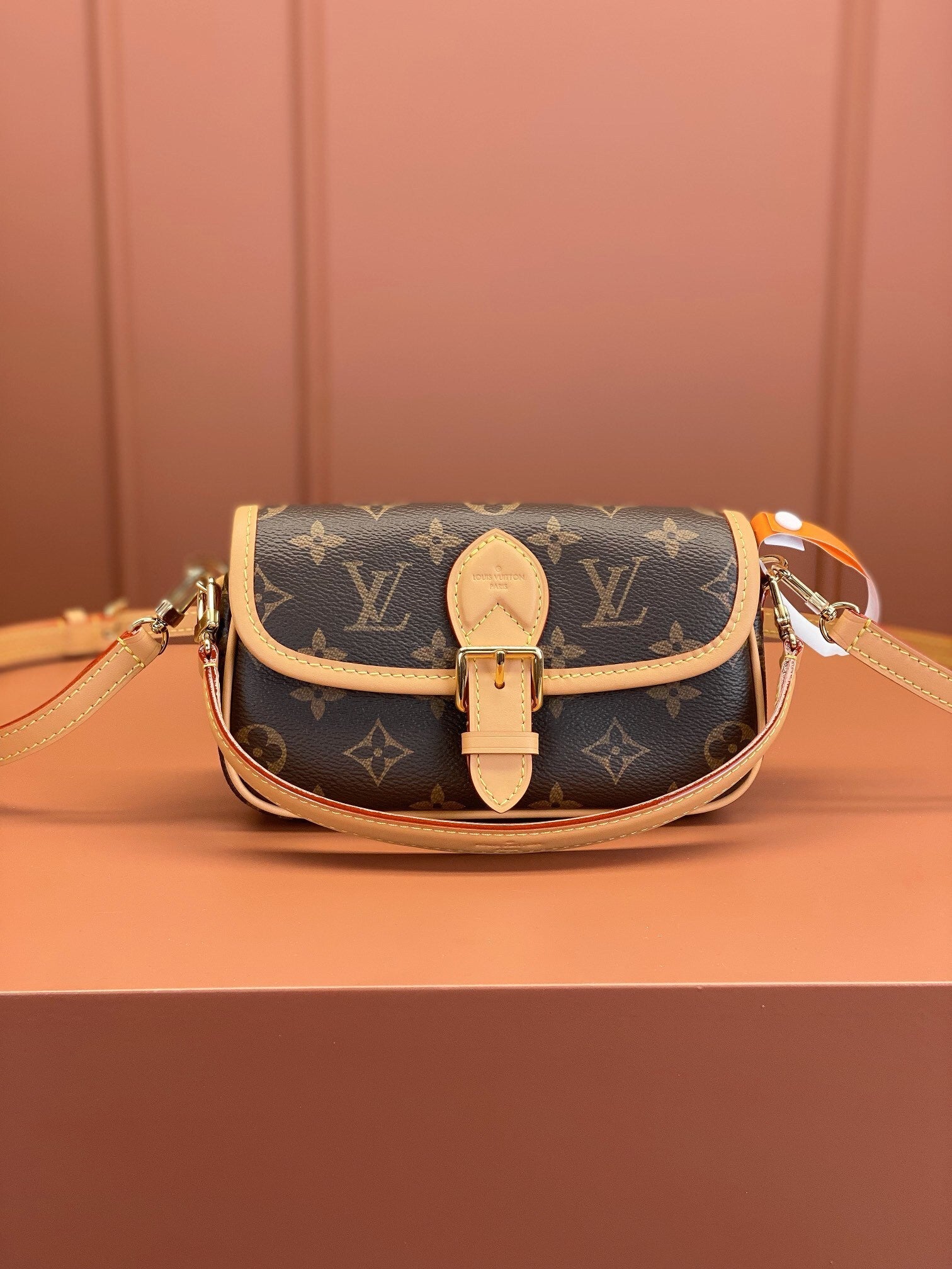 LV Nano Diane Bag