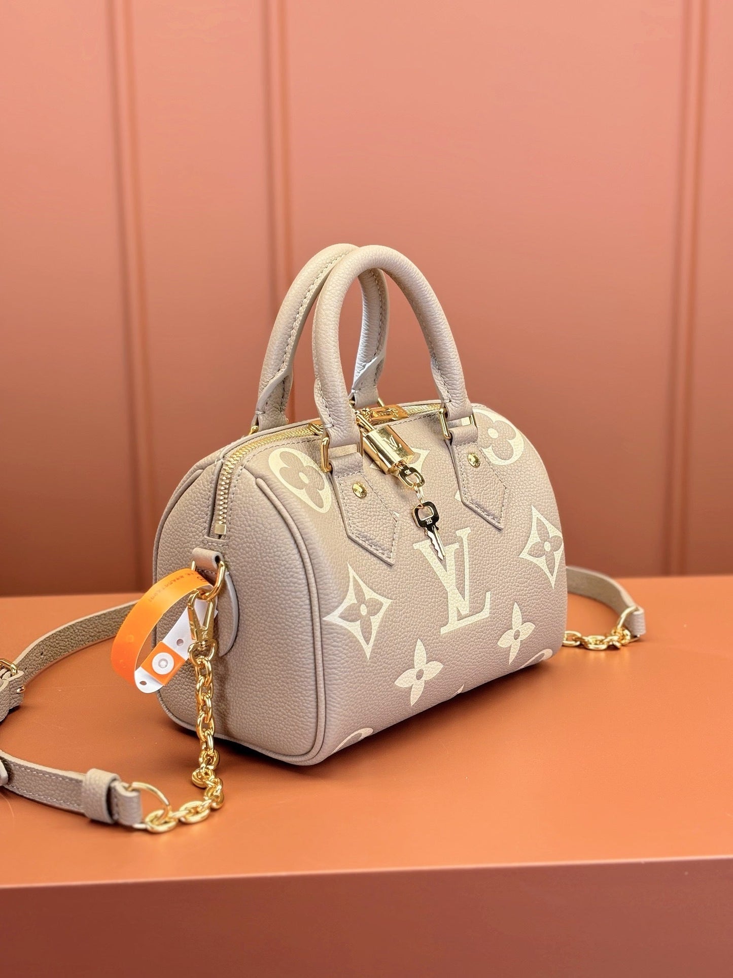Speedy Bandoulière 20 Bag