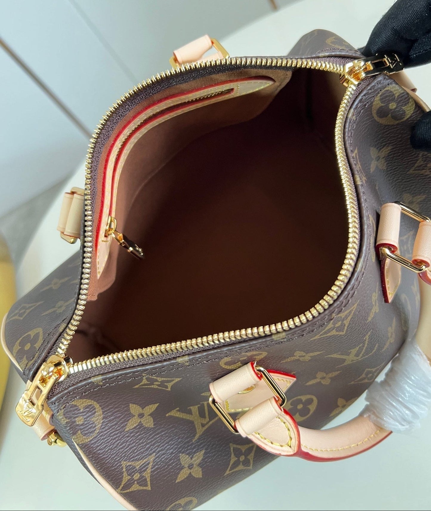 Speedy Bandoulière 25 Bag
