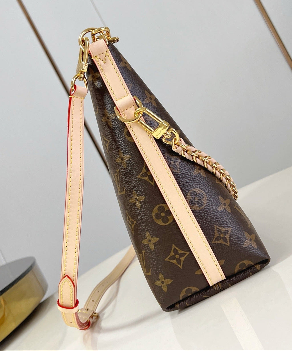 LV Multipass Bag
