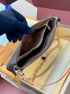 LV Pochette Accessoires Bag