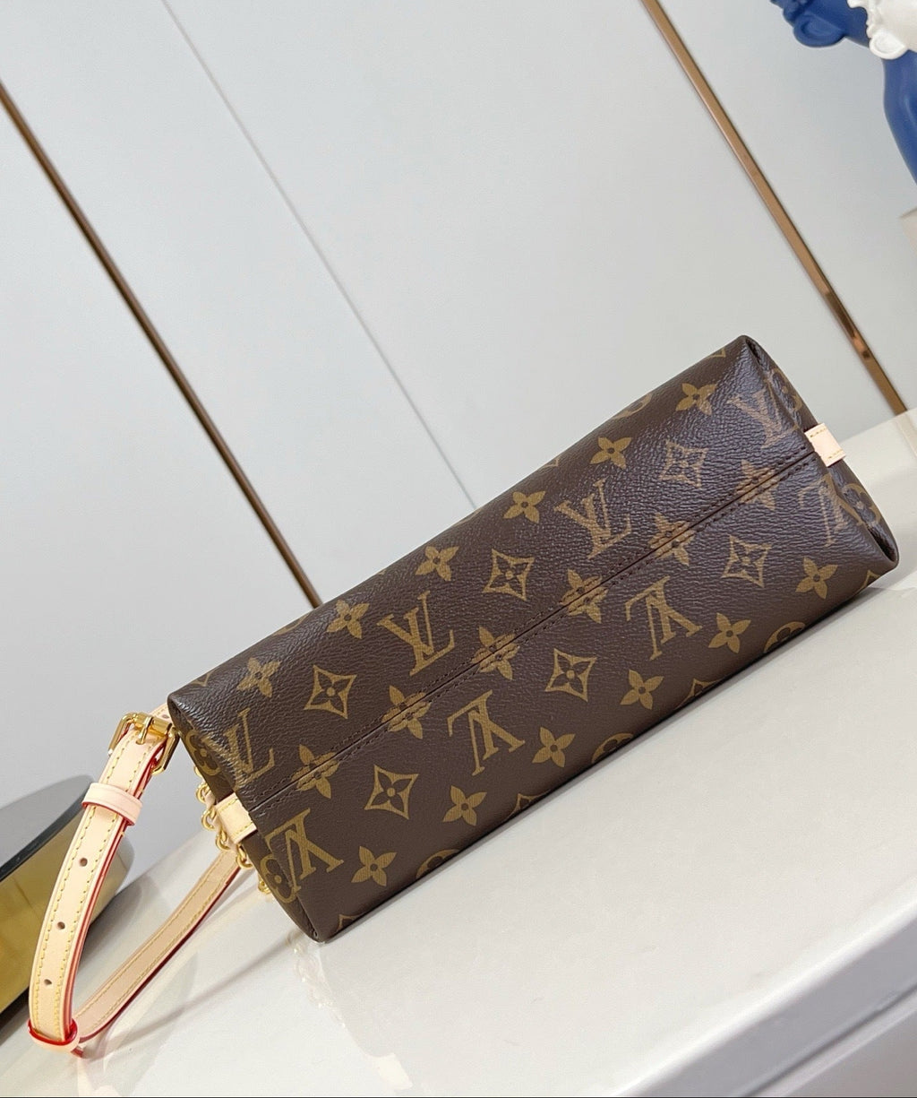 LV Multipass Bag