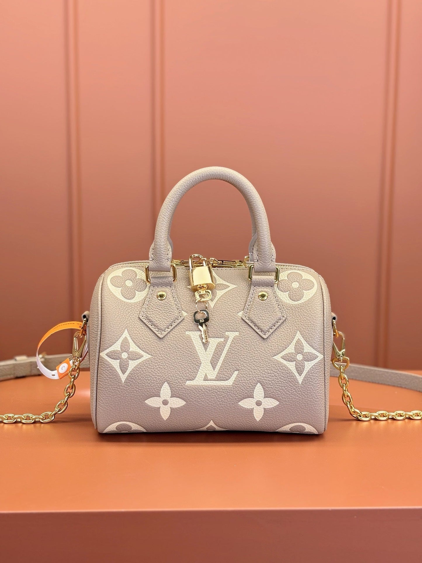 Speedy Bandoulière 20 Bag