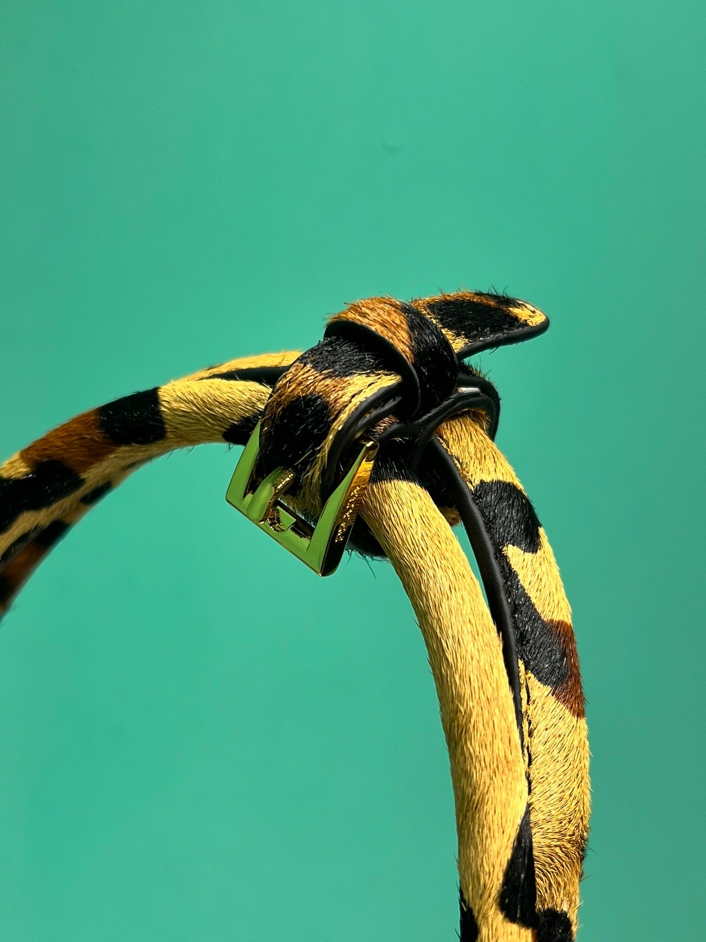 Prada Bonnie medium printed leather handbag