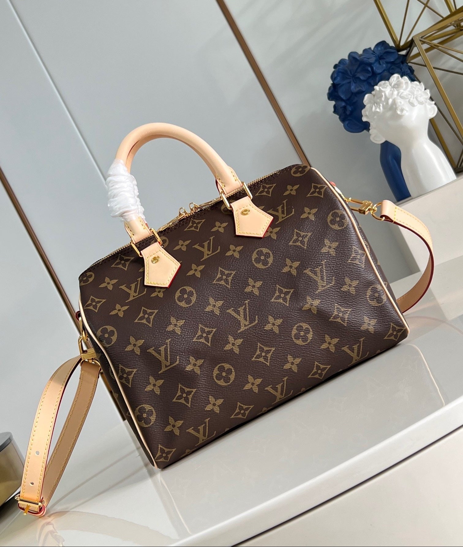 Speedy Bandoulière 25 Bag