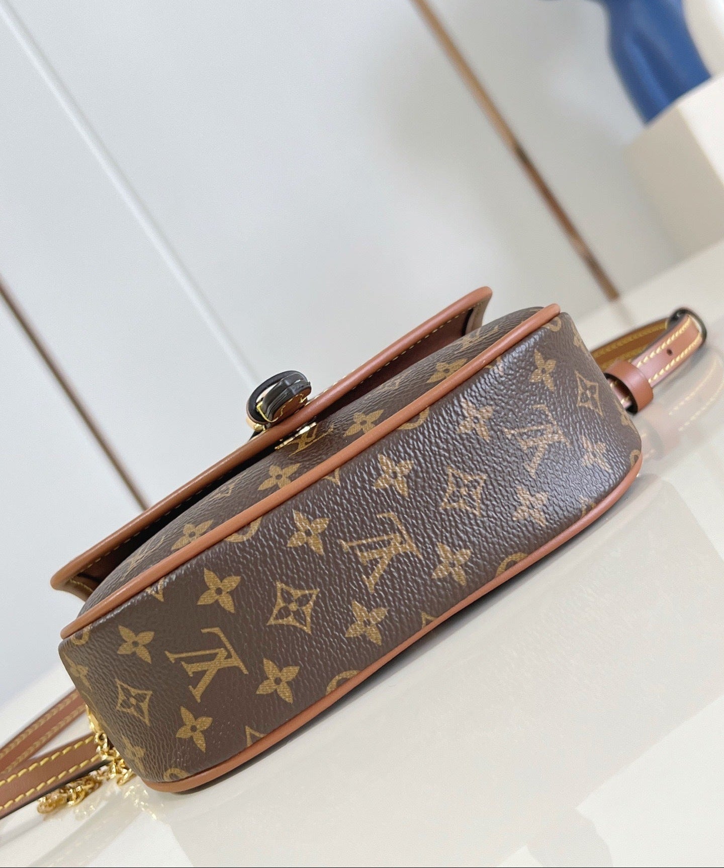 LV Solo Bag