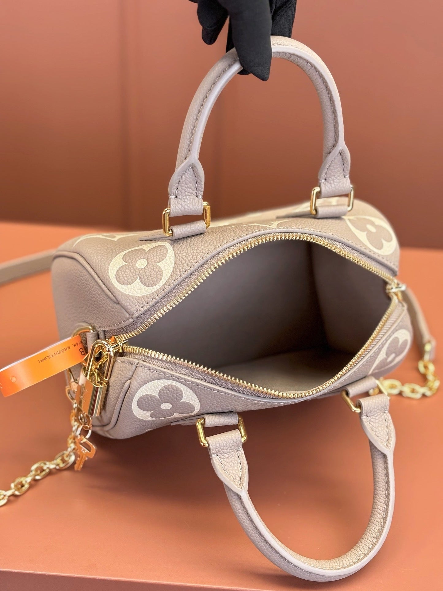 Speedy Bandoulière 20 Bag