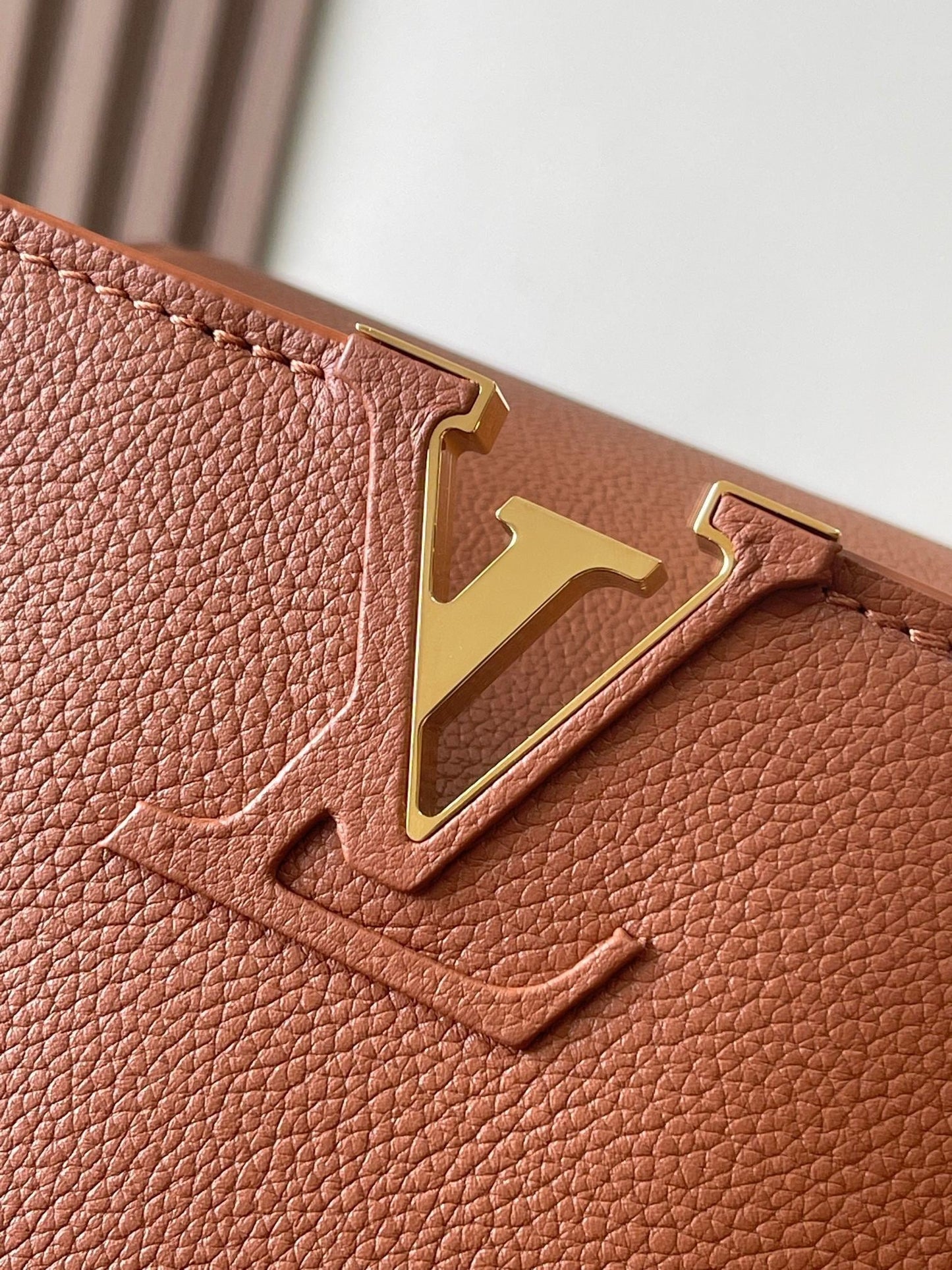 Capucines GM Souple Bag