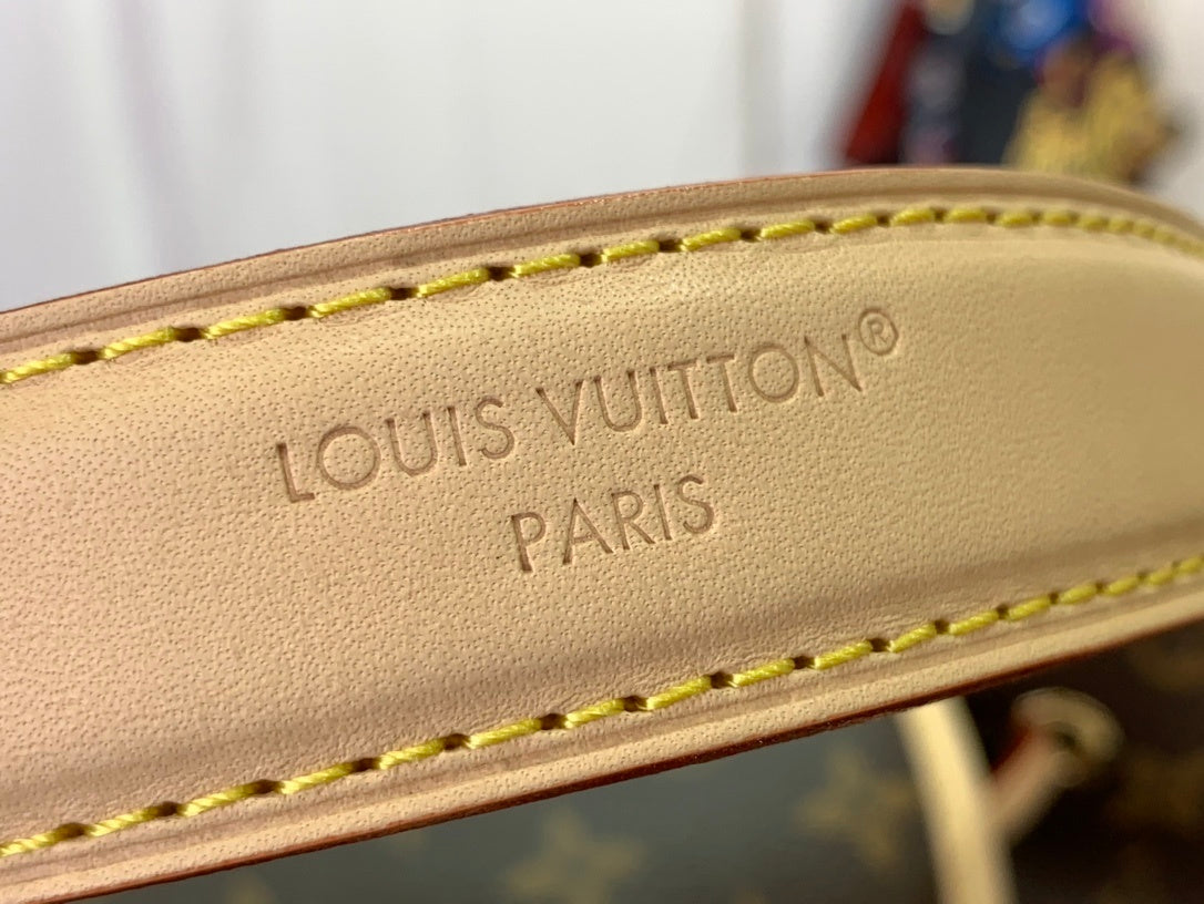 LV Odyssee MM Bag